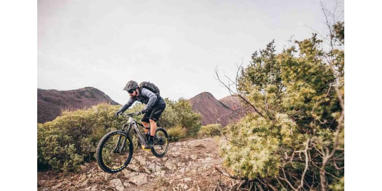 ¿Cuáles son las características que definen a las Haibike?