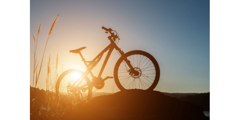 Compra tu bicicleta de montaña con nosotros